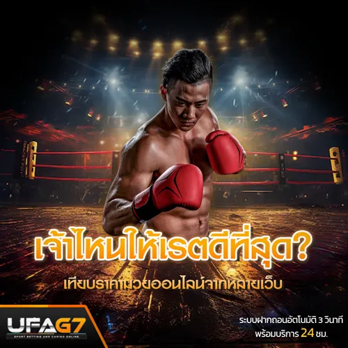 เปรียบเทียบราคามวย