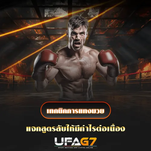 เทคนิคการแทงมวย