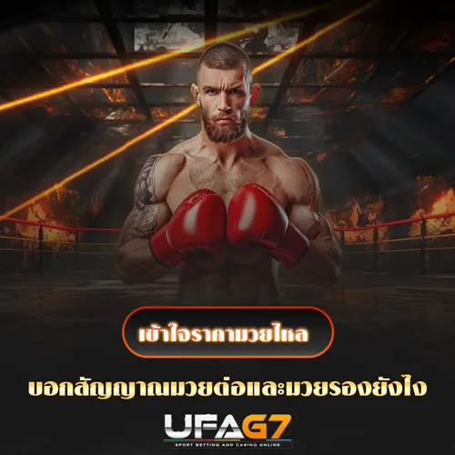 ราคามวยไหล