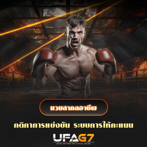 มวยสากลอาชีพ